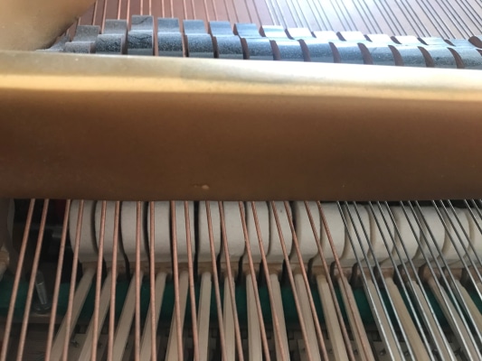 close view of piano hammers under piano strings