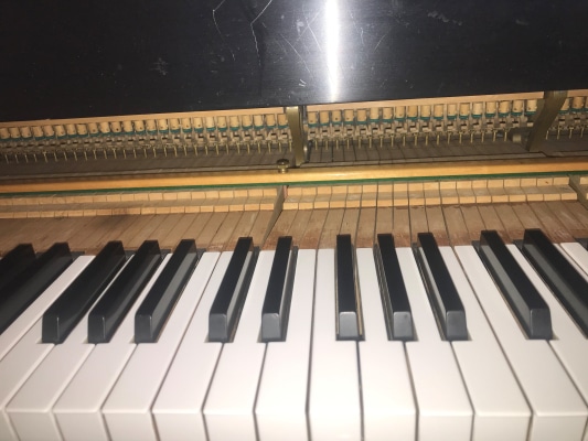 piano keyboard and action