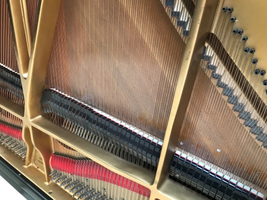 Strings and dampers in a piano